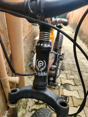 Prolife Foldable Bicycle