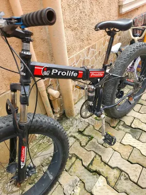 Prolife Foldable Bicycle
