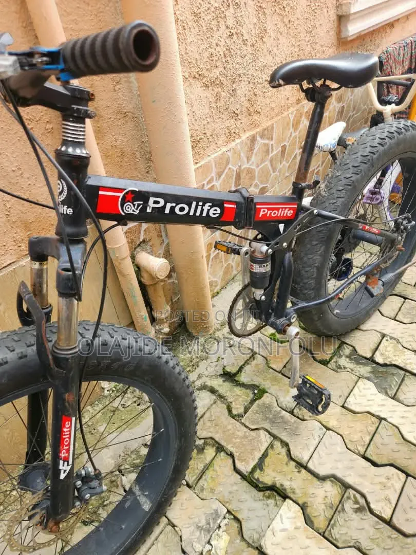Prolife Foldable Bicycle