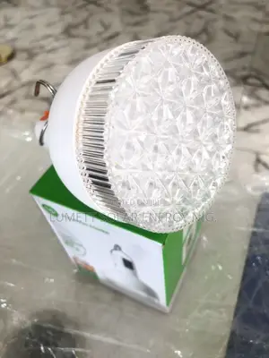 DP 18W Portable LED Bulb for Power Outages