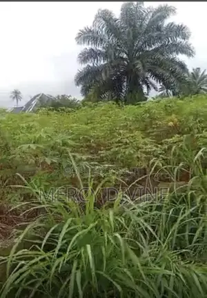 2 Plots of Land for Sale in Chokocho, Etche