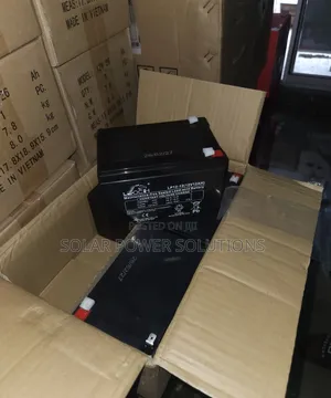 Leoch 12v12Ah Battery