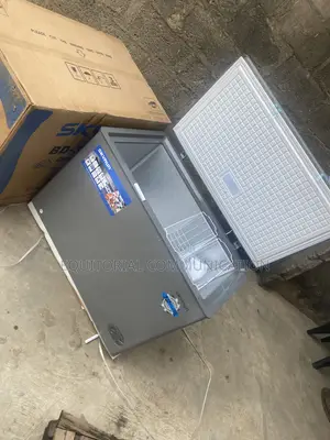 SKYRUN 300L Commercial Chest Freezer