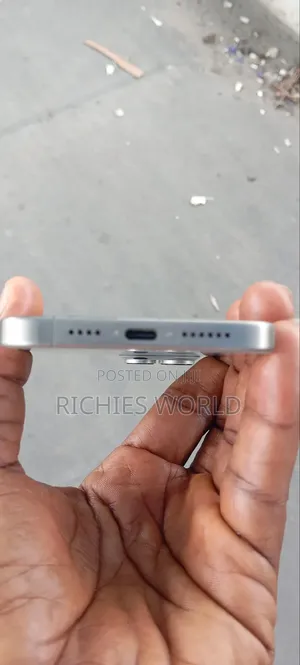 Apple iPhone 15 Pro Max 512 GB Silver