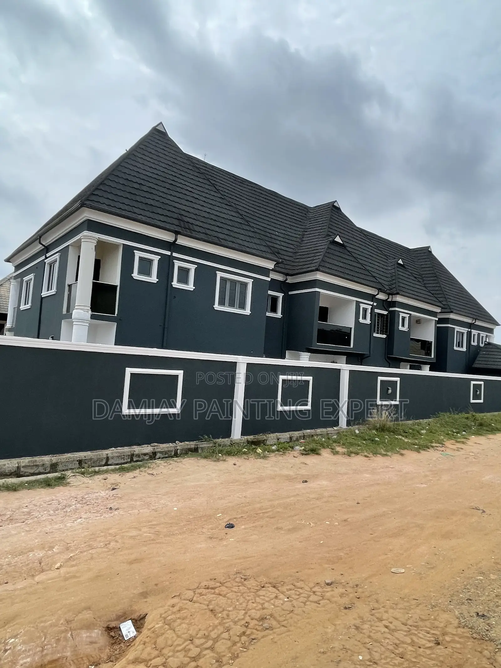 Professional House Painter Screeder Etc