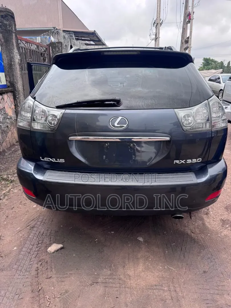 Lexus RX 330 2005 Gray