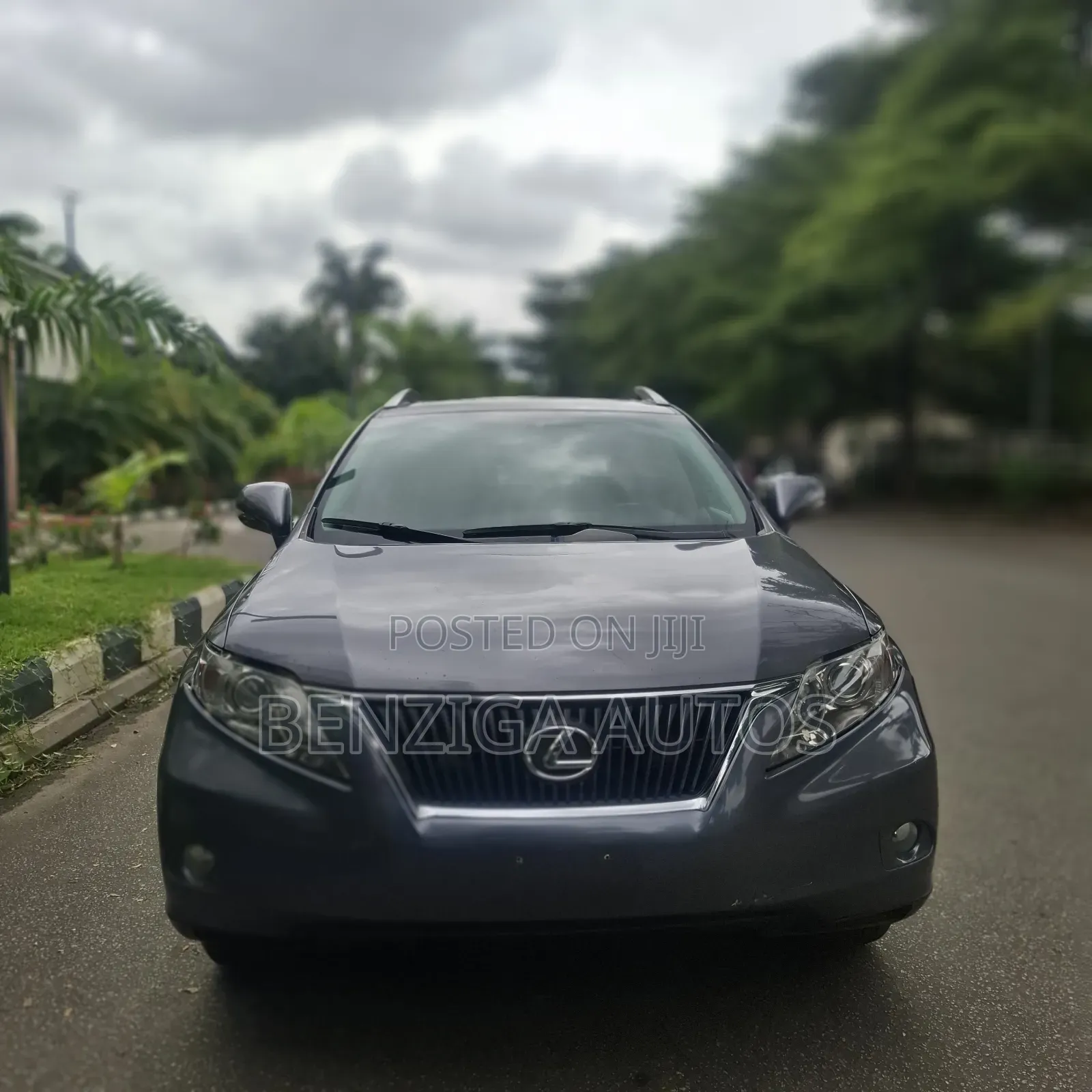 Lexus RX 2012 Gray