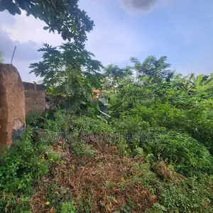 A Standard 5 Plots of Land