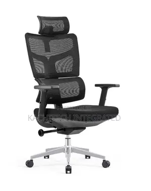 Executive Mesh Chair