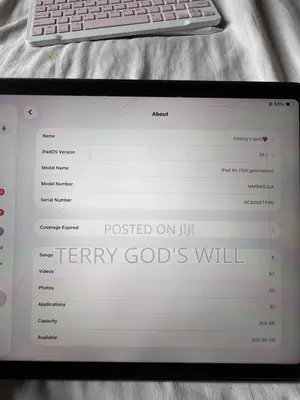 Apple iPad Air 256 GB Blue