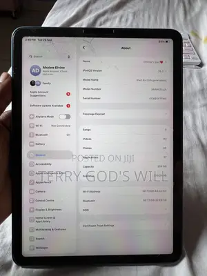 Apple iPad Air 256 GB Blue