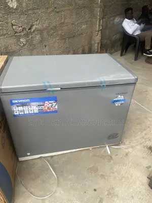 Skyrun Bd-300hnw 300l Food Freezer