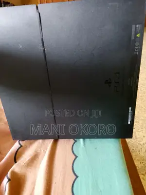 PS4 Not Booting