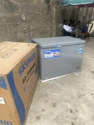 SKYRUN BD-300HNW 300L Frozen Storage Freezer
