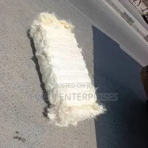 Ug Fillars / Sponge