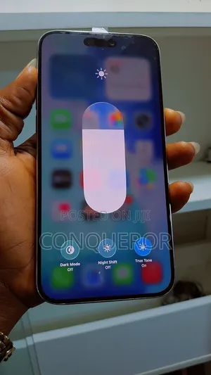 Apple iPhone 15 Pro Max 256 GB Gray