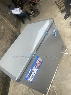 SKYRUN BD-300HNW 300L Home Deep Freezer