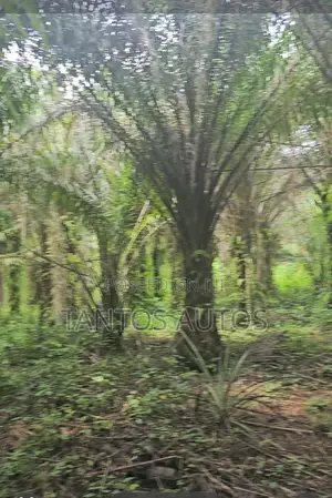 Farm Land for Sale