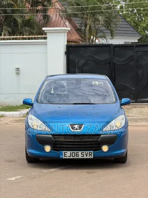 Peugeot 307 2007 Blue