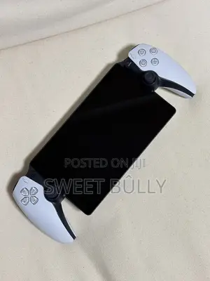 Clean Cheap Ps5 Portal