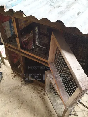Dog Cages and Fowls Cage