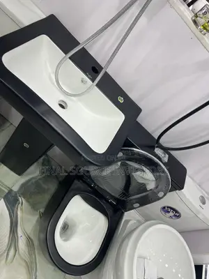 Simple Elegant Water Closet System and Basin