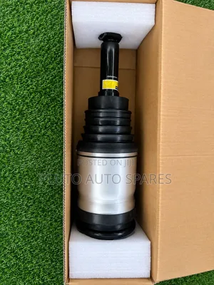 Range Rover Sport 2008 Back Balloon Suspension