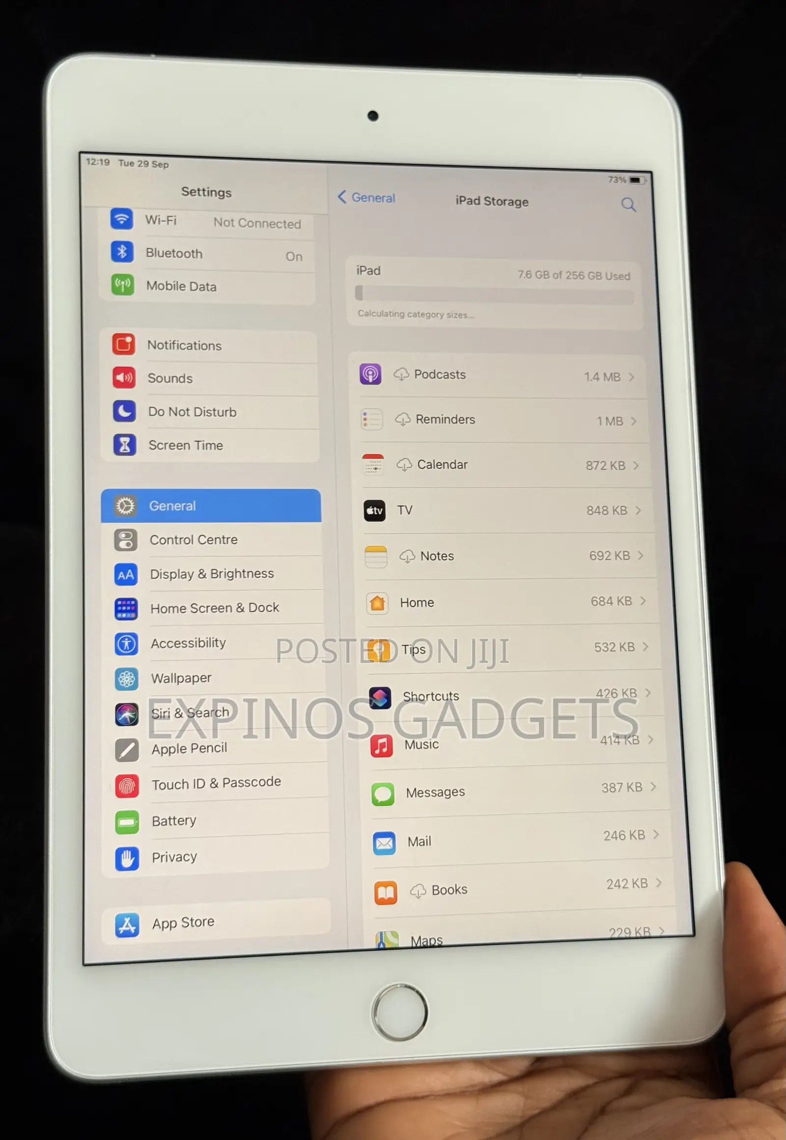 Apple iPad mini 5 (2019) 256 GB Gray