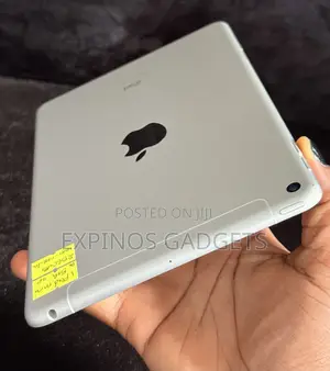 Apple iPad mini 5 (2019) 256 GB Gray