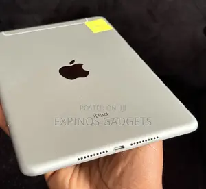 Apple iPad mini 5 (2019) 256 GB Gray