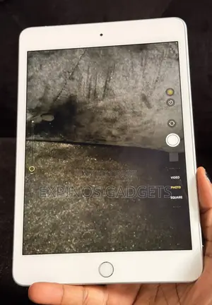 Apple iPad mini 5 (2019) 256 GB Gray