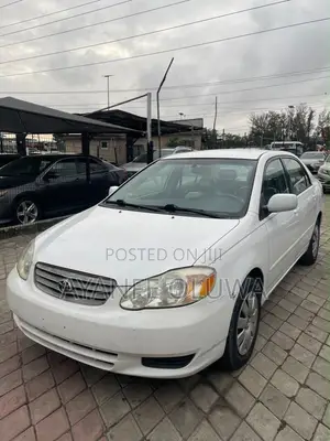 Toyota Corolla 2003 White