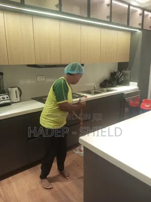 Prishossa Cleaning Services