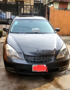 Lexus ES 330 Sedan 2004 Gray