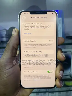 Apple iPhone 12 Pro Max 256 GB Silver