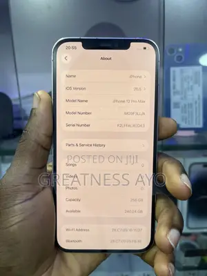 Apple iPhone 12 Pro Max 256 GB Silver