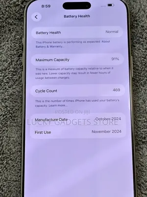 Apple iPhone 16 Pro Max 256 GB Silver
