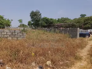 1534.39sqm Residential Land at Dakibiyu