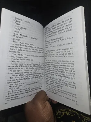 Without a Silver Spoon Storybook