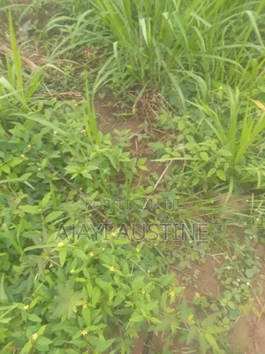 One and Half Hectares Land at Jakand Estate Lekki for Sale
