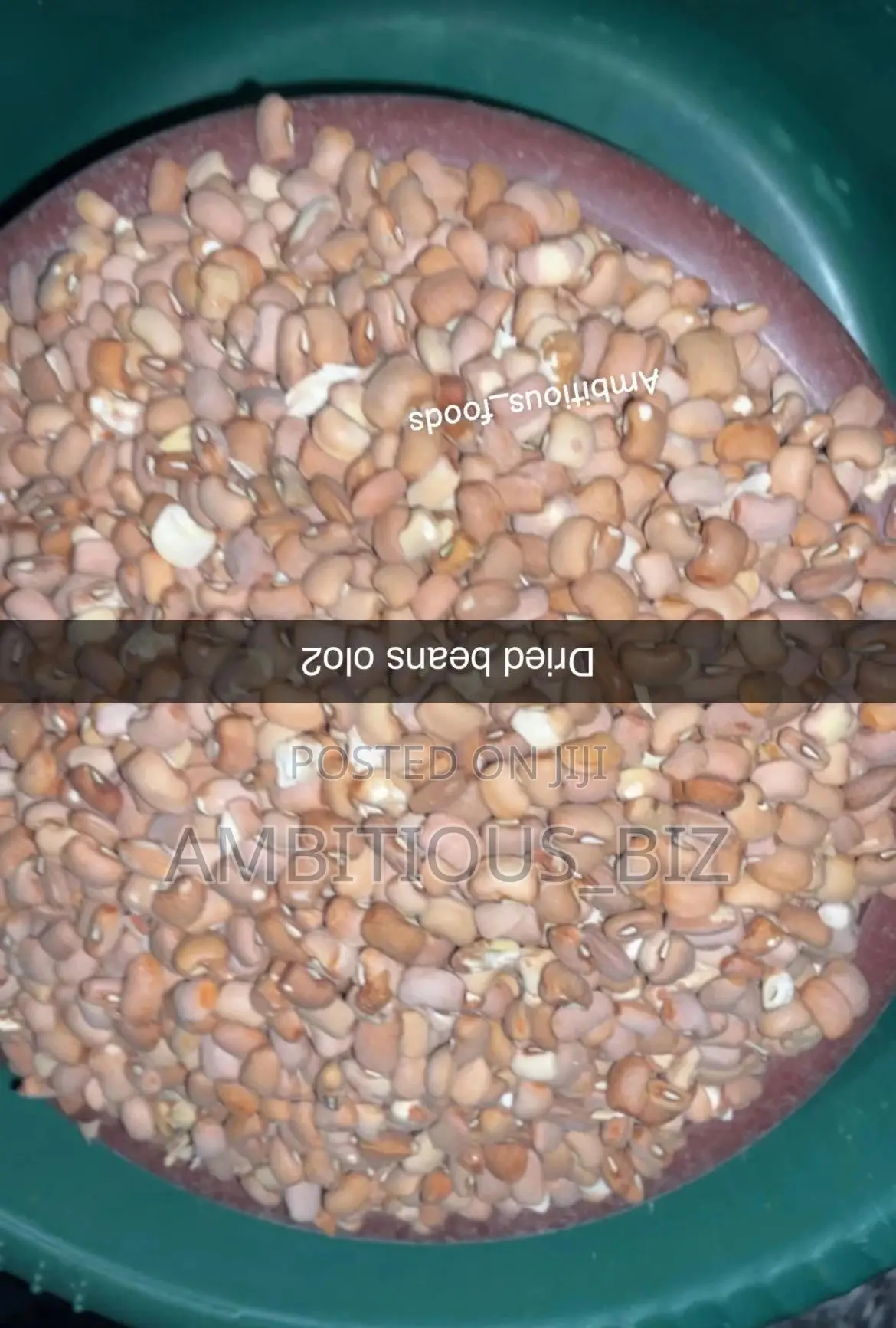 Olo2 Beans
