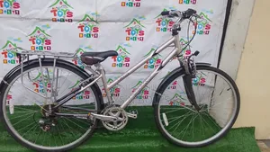 Adult Bicycle Size 28 Bronx With Back Carrier