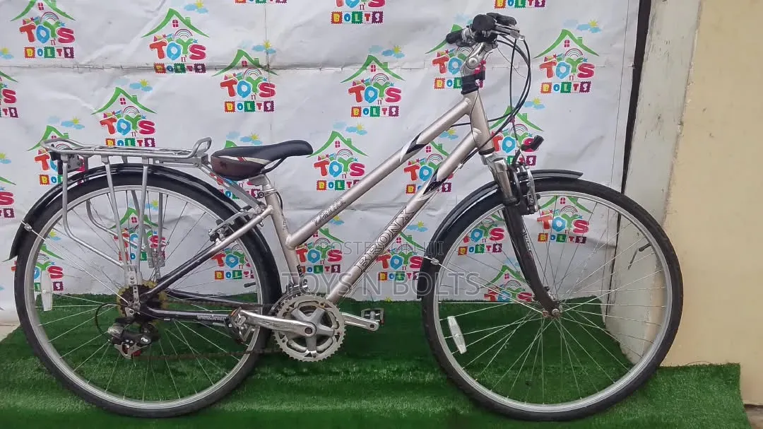 Adult Bicycle Size 28 Bronx With Back Carrier
