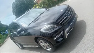 Mercedes-Benz M Class 2014 Black
