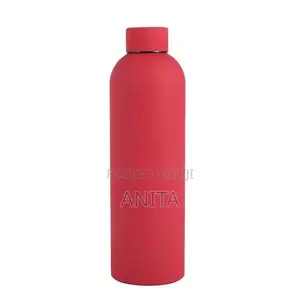 Insulated Stainless Steel Water Bottle