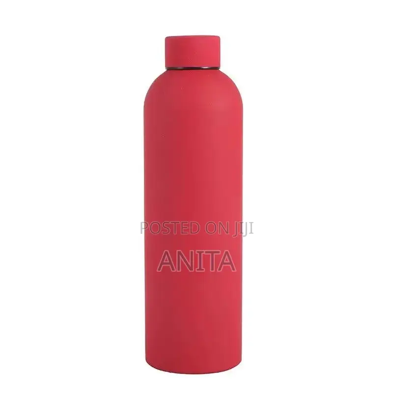 Insulated Stainless Steel Water Bottle