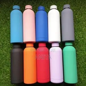 Insulated Stainless Steel Water Bottle