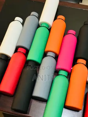 Insulated Stainless Steel Water Bottle