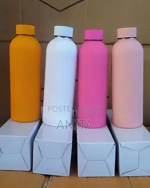 Insulated Stainless Steel Water Bottle