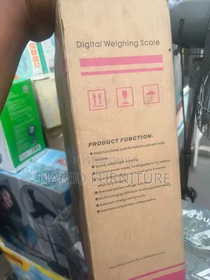 30kg Camry Scale